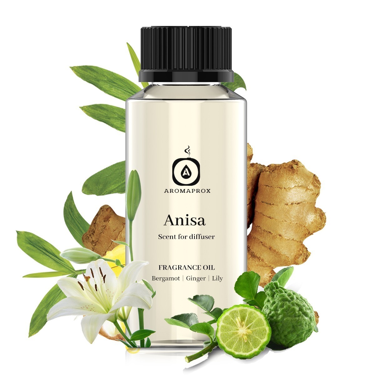 Anisa