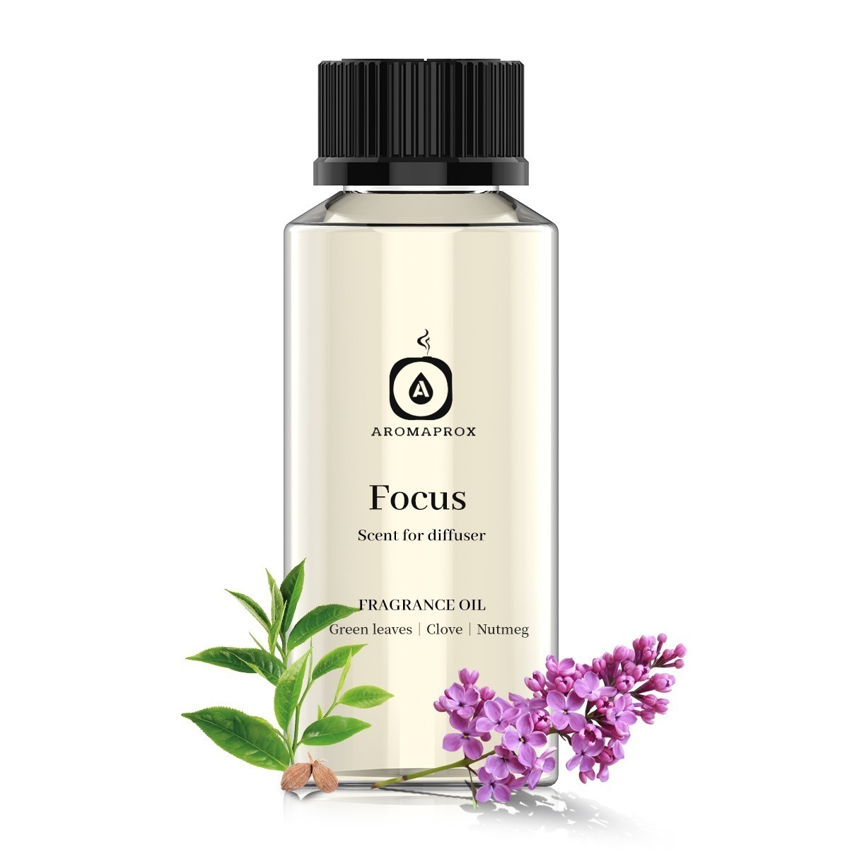 Focus